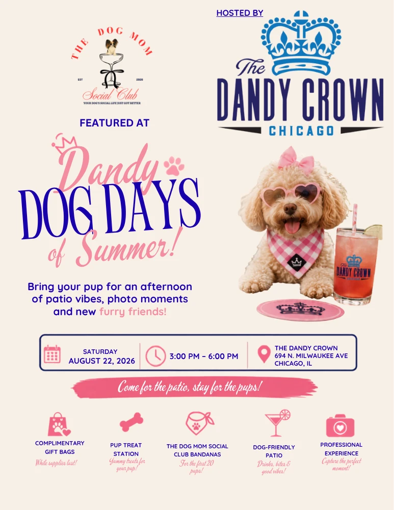 TDMSC at Dandy Dog Days of Summer